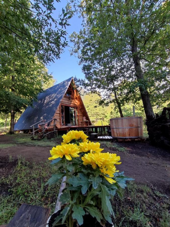 Acampamento Alpinas De Sollipulli Refugio Llaima *